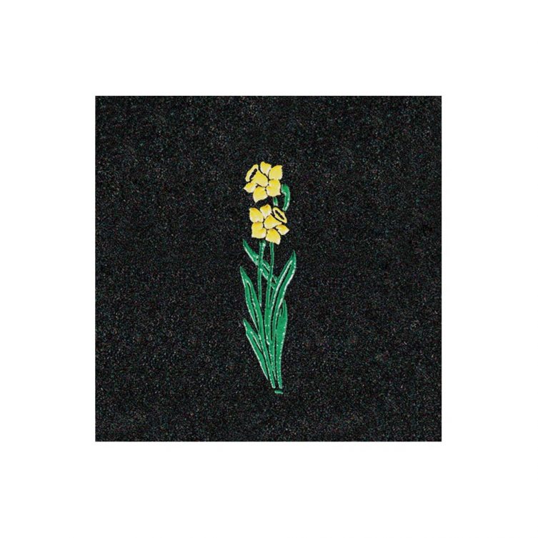 Two Daffodils image 1