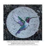 Hummingbird or Doctor Bird Etching image 2 thumbnail