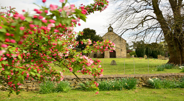 headstones for stillborn babies