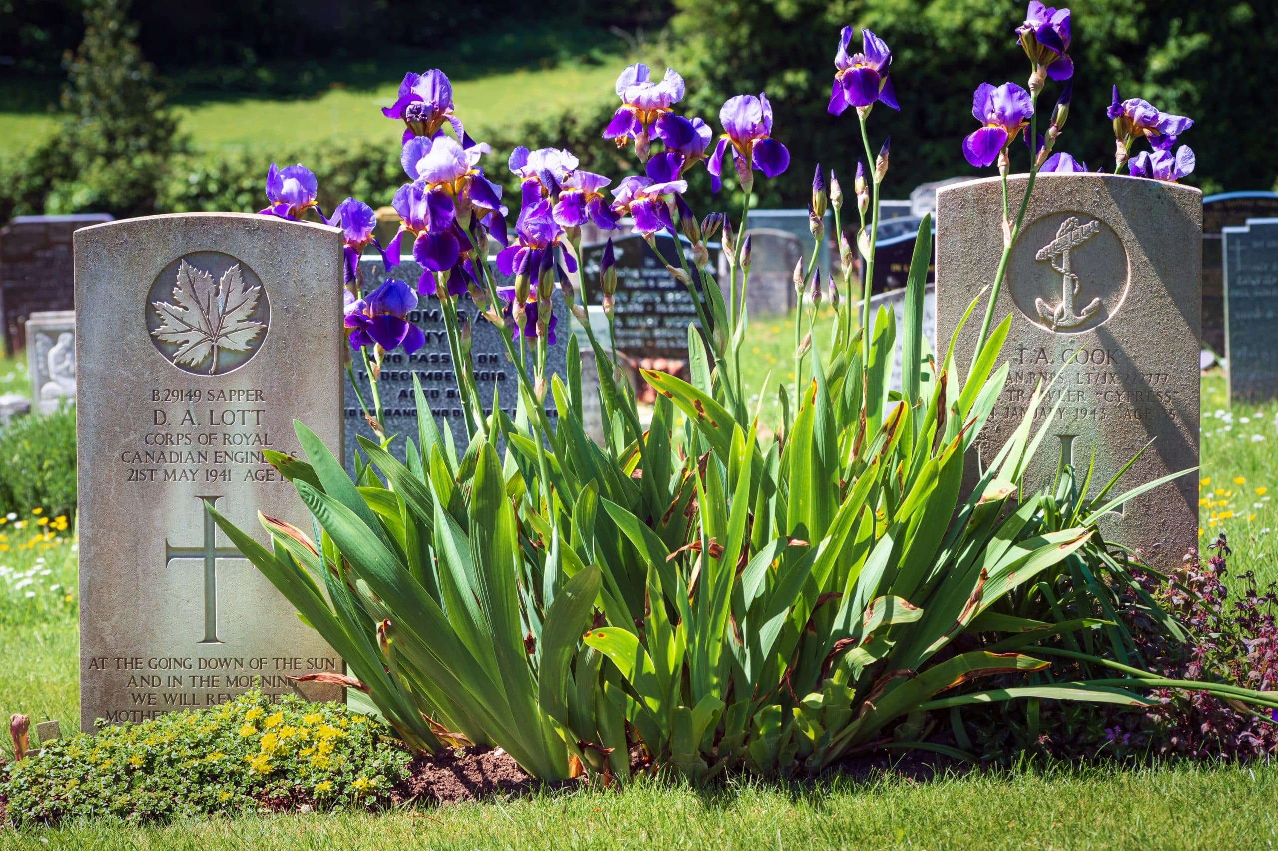 How to choose the right flowers to put on a grave - Memorials of Distinction